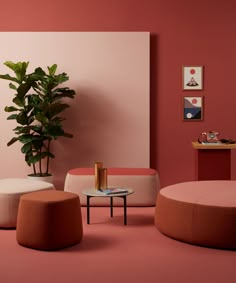 a living room filled with furniture and a potted plant