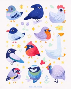 an illustration of many different birds on a white background with flowers and stars around them