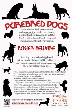 a poster with dogs and their names in red, black, and white on it