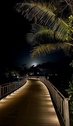 a long wooden walkway with lights on it at night under a palm leafy tree