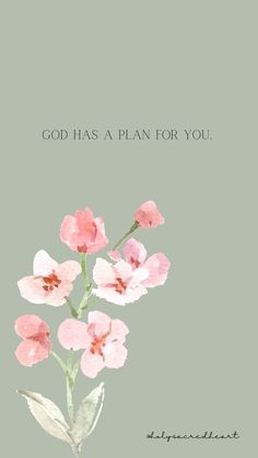 pink flowers with the words god has a plan for you