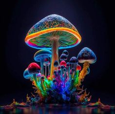 a group of colorful mushrooms sitting on top of a black ground with water droplets all over them