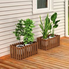 three potted plants sitting on top of a wooden deck