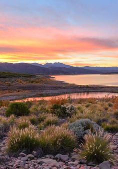 the sun is setting over a lake and mountains in the distance, with some plants growing on the shore