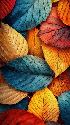 many different colored leaves are arranged together in this image, with the colors changing from red to blue