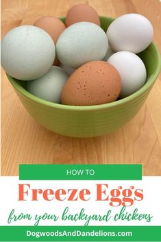 a bowl filled with eggs sitting on top of a wooden table next to text overlay that reads how to freeze eggs from your backyard chickens