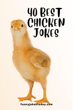 a yellow chicken with the words 10 best chicken jokes on it's back side