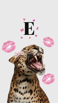 a leopard with its mouth open and pink lips around it's neck, in front of the letter e