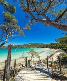 a wooden walkway leading to the beach with clear blue water