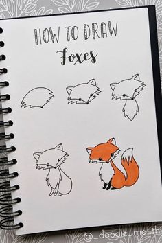 an open notebook with drawings of foxes on the pages and how to draw them in it