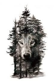 a wolf is shown with trees in the background