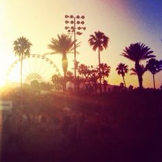 the sun is setting behind palm trees and ferris wheel at an amusement park in california