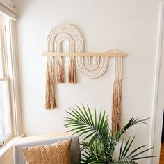 a living room filled with furniture and a potted plant on top of a table