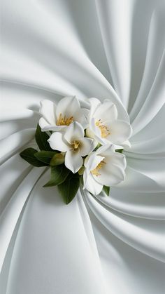 three white flowers with green leaves on top of a white cloth draped in the wind