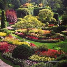 a garden filled with lots of different types of flowers