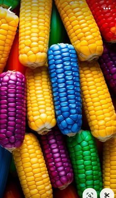 colorful corn on the cob is shown in this image