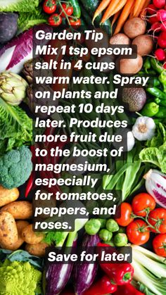 a pile of different types of vegetables with text that reads garden tip mix 1 cup epsom salt in 4 cups warm water spray on plants and