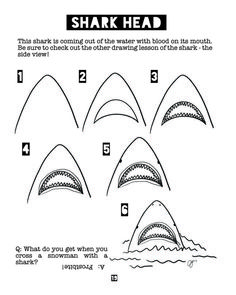 the instructions for how to draw shark heads