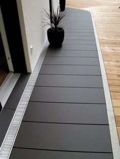 a black and white cat sitting on top of a wooden floor next to a potted plant