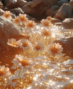 some flowers are floating in the water near rocks and boulders with sparkling lights on them