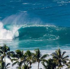 Eddie Aikau, Ocean Wave Art, Wave Surf, Wave Surfing, Big Wave Surfing, Surfing Pictures, Surf Poster, Waves Ocean, Surf Culture