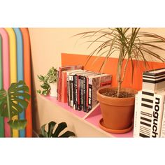 there is a potted plant and books on the shelf