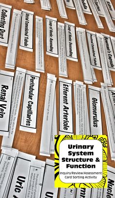 many white labels are placed on a wooden table with black and yellow lettering that says library system structure and function