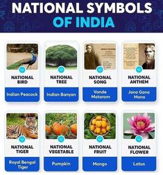 the national symbols of india are shown in blue and white, with pictures of different animals