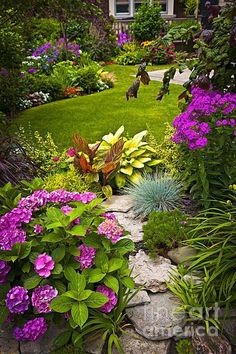 a garden filled with lots of different types of flowers