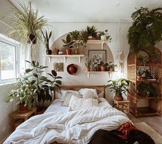 an unmade bed with lots of plants on the shelves above it and a black dog laying on the floor