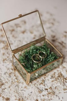 two gold wedding rings sitting in a glass box filled with moss and sand on the ground