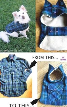 the instructions for how to make an adorable dog shirt with collars and hoodie