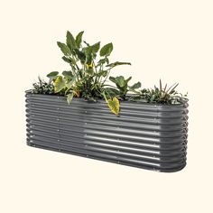 Modern Gray - 32" Extra Tall 9 In 1 Modular Metal Raised Garden Bed Tall Raised Garden Beds, Modular Garden Beds, Modular Raised Garden Beds, Outdoor Raised Garden Beds, Vego Garden, Gray Patio, Raised Garden Bed Kits, Raised Planter Boxes, Metal Raised Garden Beds