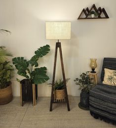 a living room with potted plants on the floor and a lamp next to it