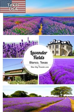 lavender fields in texas with the words lavender fields above them and an image of a house