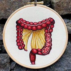 a cross stitched picture of the inside of a human stomach