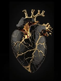 an image of a human heart on a black background with gold accents and blood vessels