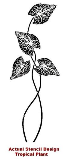 a plant with leaves on it and the words actual stencil design tropical plant