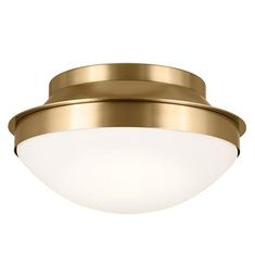 an image of a flush light fixture