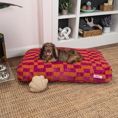 a dog laying on top of a red and orange pillow