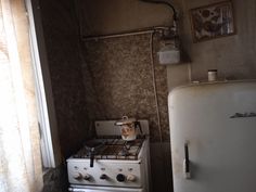 an old fashioned stove and refrigerator in a room with wallpapered walls on both sides