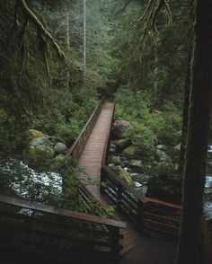 a wooden bridge in the middle of a forest