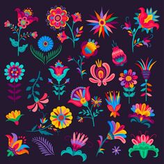 colorful flowers and plants on a black background