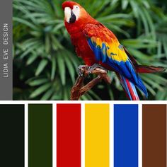 a parrot sitting on top of a tree branch with color swatches in front of it