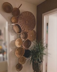 baskets are hanging on the wall next to a potted plant