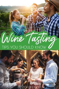 wine tasting tips you should know