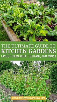 the ultimate guide to kitchen garden layouts and tips on how to plant, grow, and more