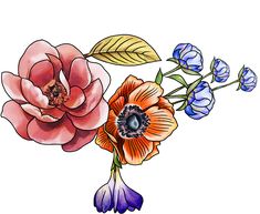 an image of flowers that are in color and on white background with watercolor effect