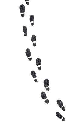 an image of footprints coming down the hill