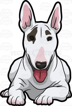 a white bull dog laying down with its tongue out and his tongue hanging out to the side